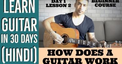 How Does A Guitar Work